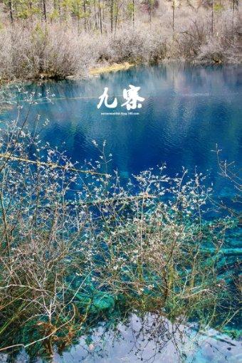 魔晶猎人GO